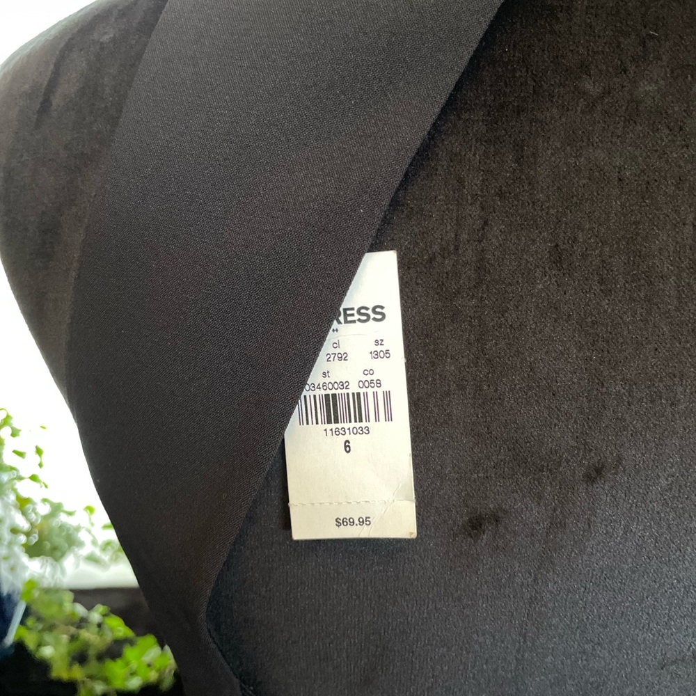 Express Dress - Picture 3 of 4